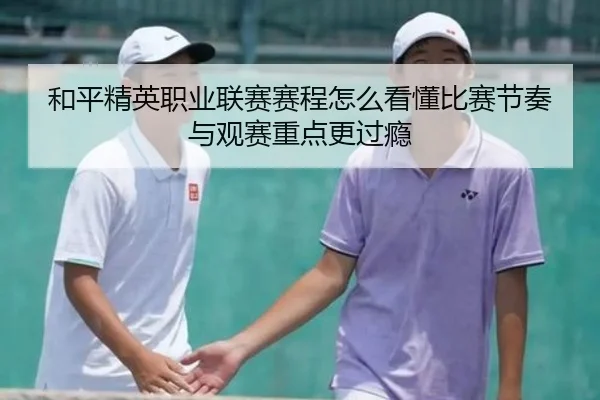和平精英职业联赛赛程怎么看懂比赛节奏与观赛重点更过瘾